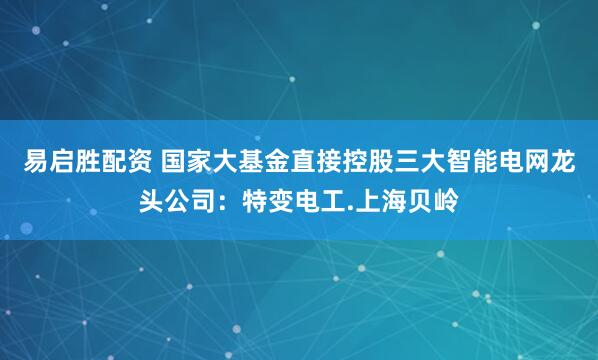 易启胜配资 国家大基金直接控股三大智能电网龙头公司：特变电工.上海贝岭