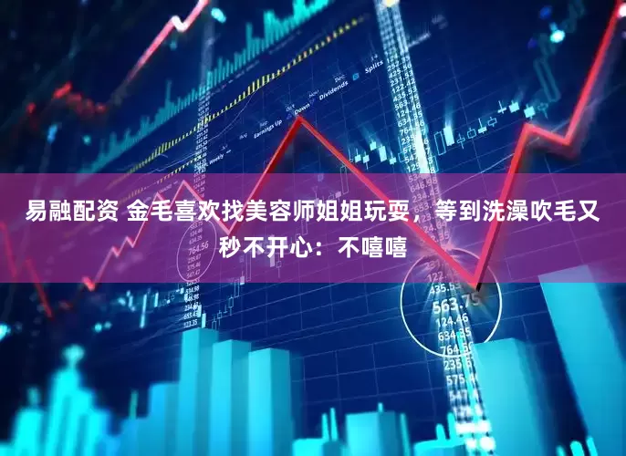 易融配资 金毛喜欢找美容师姐姐玩耍，等到洗澡吹毛又秒不开心：不嘻嘻