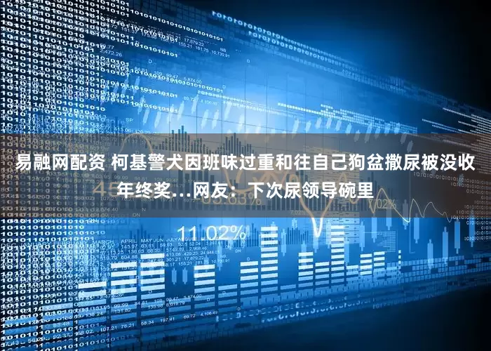 易融网配资 柯基警犬因班味过重和往自己狗盆撒尿被没收年终奖…网友：下次尿领导碗里
