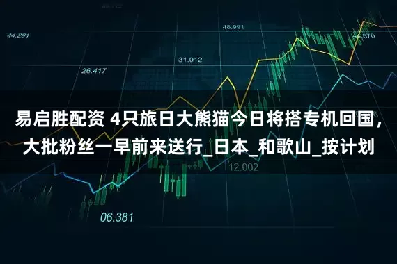易启胜配资 4只旅日大熊猫今日将搭专机回国,大批粉丝一早前来送行_日本_和歌山_按计划